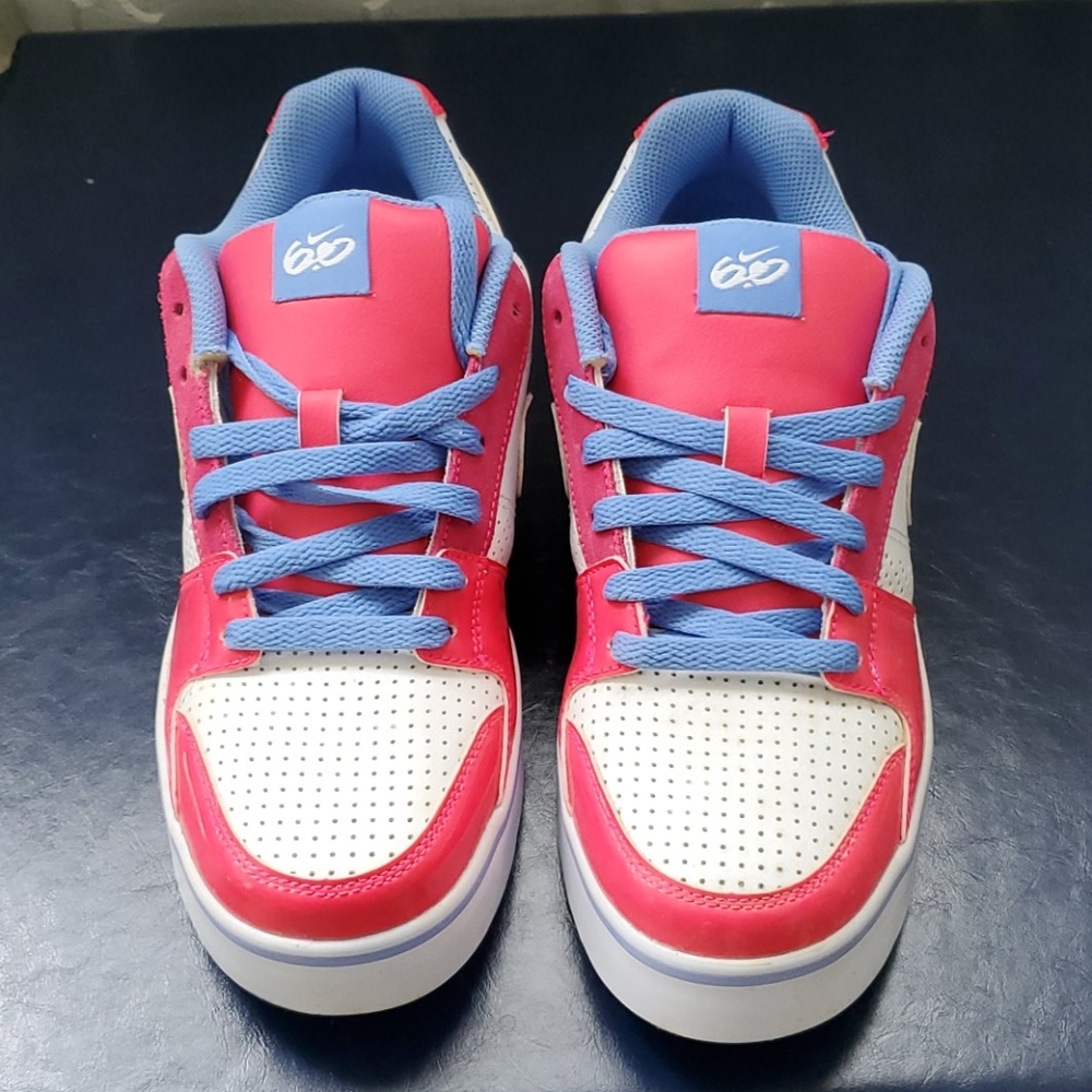 Nike SB 6.0